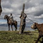 Die Cowboys Patagoniens