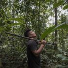 Ecuador – Lebendiger Wald